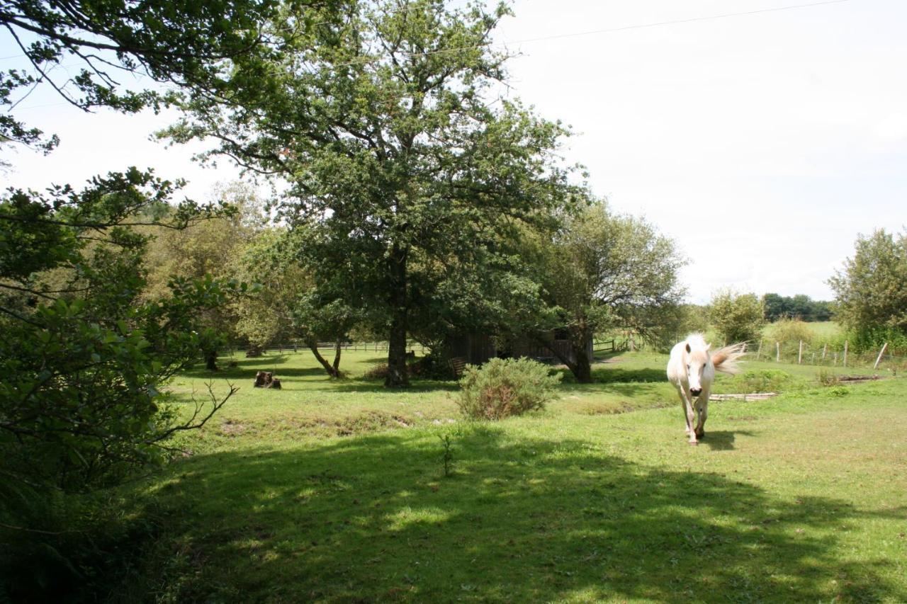 Apartament 2 Coeurs 2 Landes Garrosse Zewnętrze zdjęcie